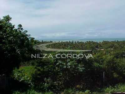 Villa Cacau /Judite